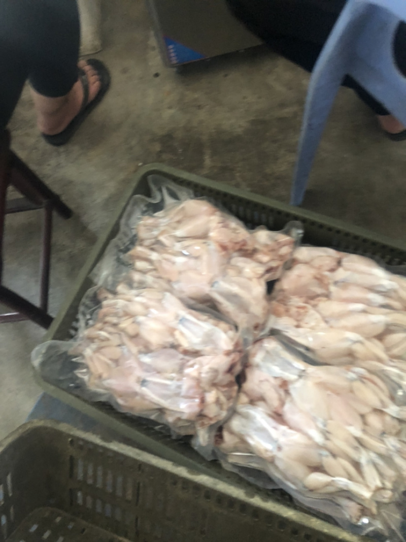 牛蛙牛蛙牛蛙牛蛙牛蛙牛蛙，蛙肉