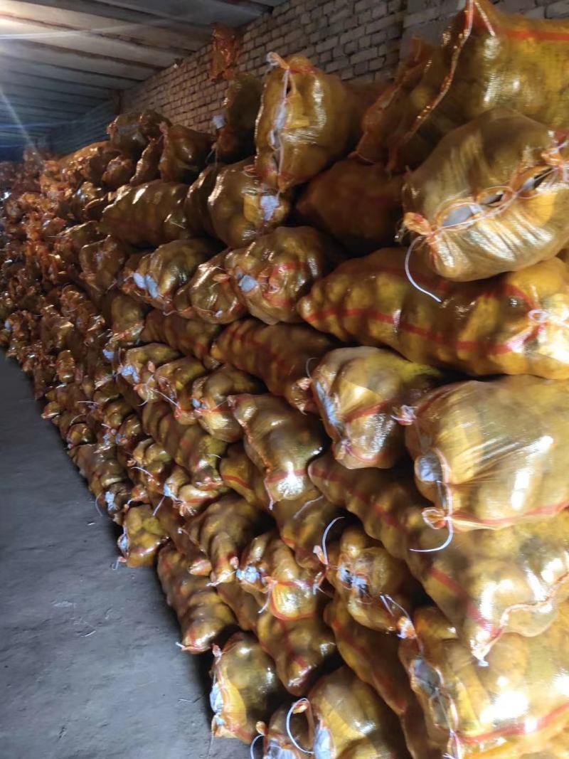 白心226精品土豆，四两起步，包装自选，质量上乘，无虫眼