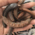 小皂角猪牙皂角小牙皂角猪牙皂实物拍摄！发货如图！