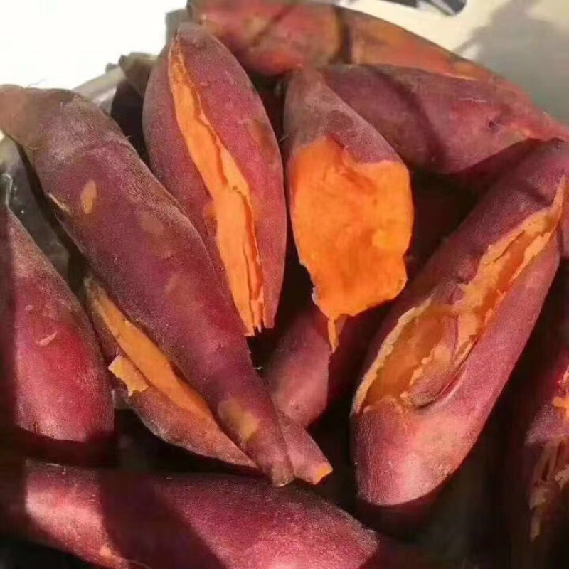 精准推荐哦沂蒙山沙地蜜薯流油蜜薯烟薯25软糯香甜