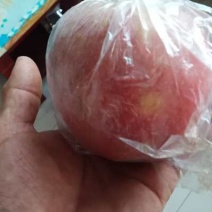 中秋佳节中秋王苹果上市