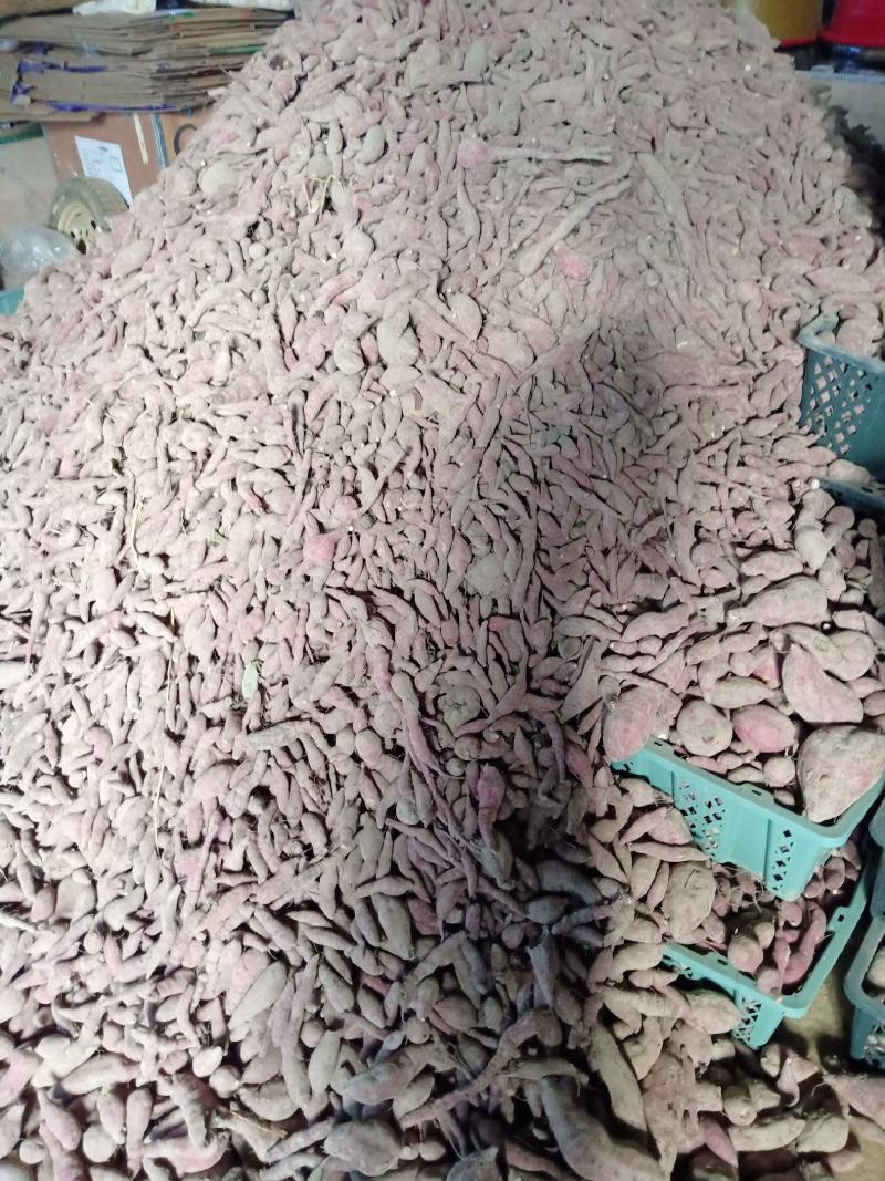 红薯（小香薯丨统货20克至5O0克产地直发