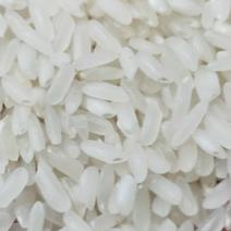 德宏特有高原地区大米，红米，糯米