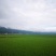 德宏特有高原地区大米，红米，糯米