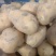 土豆226大量有货价格低产地直销