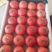 河北省唐山市滦州市精品西红柿正在大量上市需要的联系