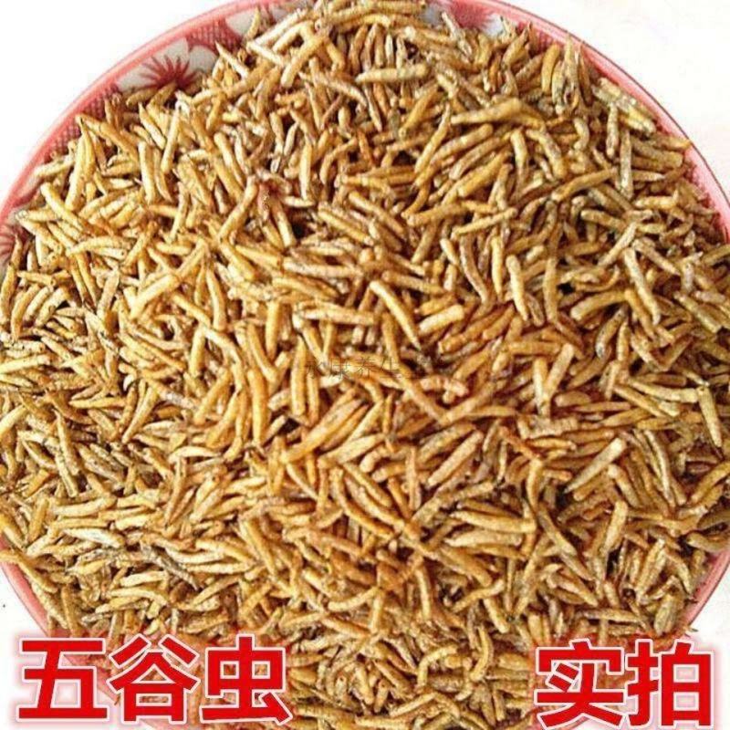 中药材食用干净五谷虫干黄金无谷虫蛆蝇蛆干水仙