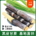 纯正广西黑皮甘蔗供应产地，结巴均匀，口感甜脆，提供回程车