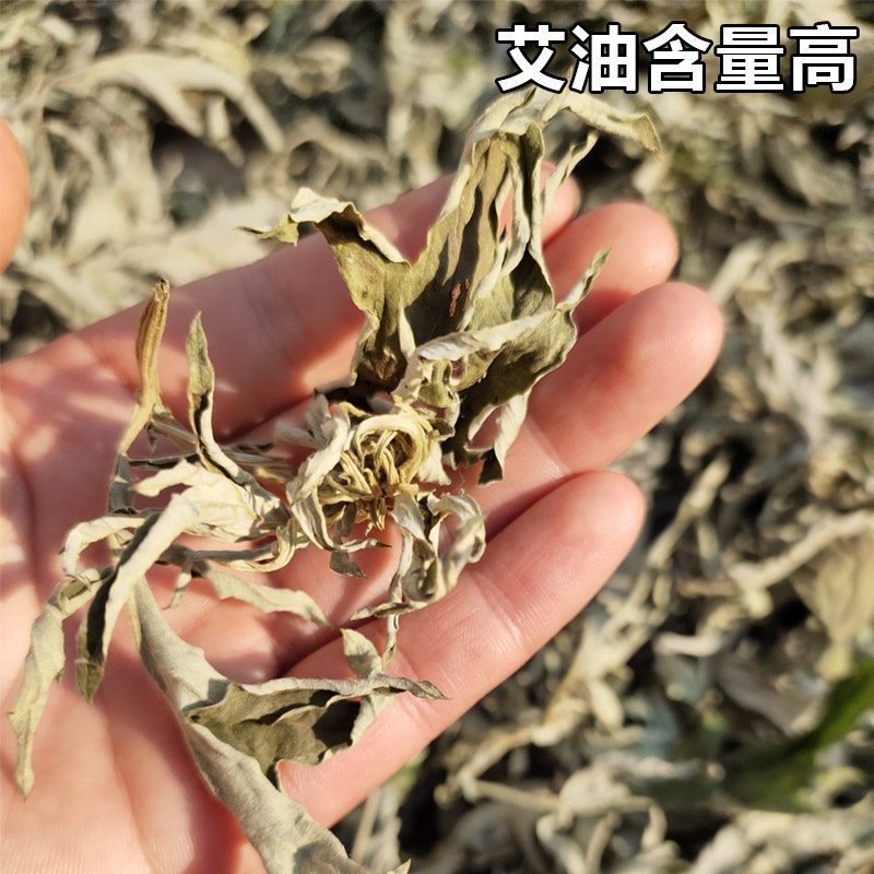 七年陈宛艾端午纯艾叶尖野艾尖现库存500斤不是7年陈免费