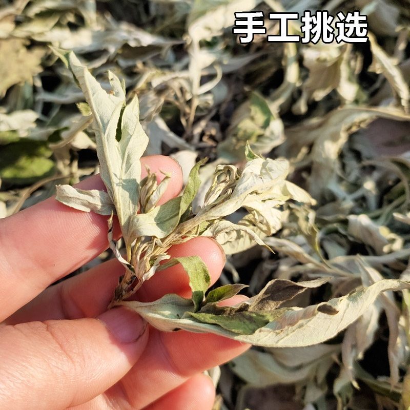 七年陈宛艾端午纯艾叶尖野艾尖现库存500斤不是7年陈免费
