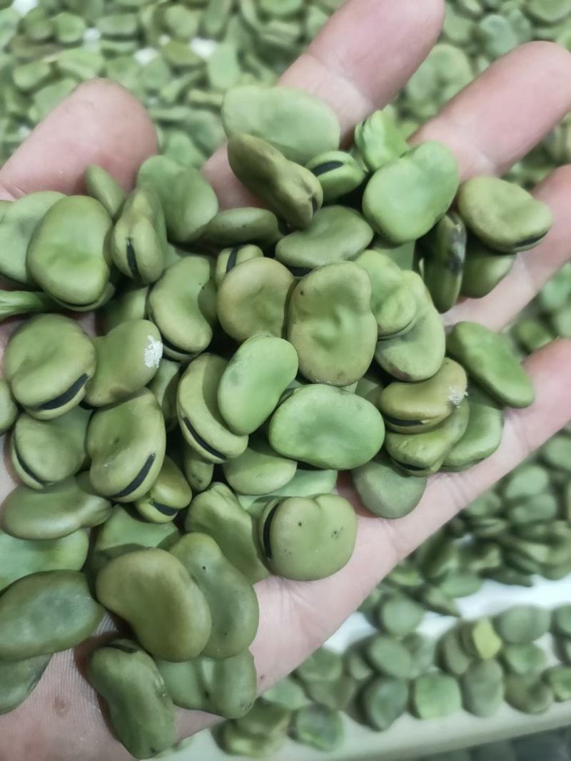 基地直发豌豆604甜脆豌荷兰豆大麻豆长寿仁朱沙红