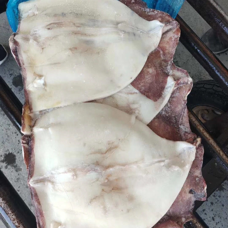 【免处理】新鲜大鱿鱼去头去内脏鱿鱼片八爪鱼章鱼烧烤火锅食