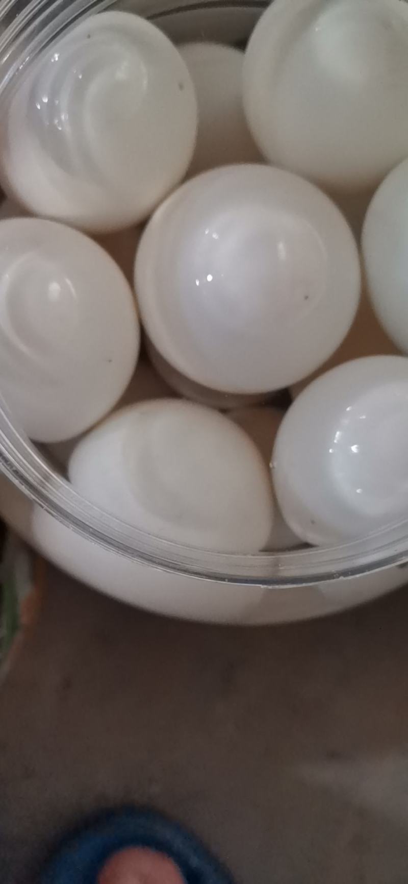 桶装蛋，，网红**桶装鹅蛋，欢迎选购，老特产