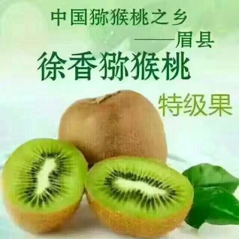 眉县徐香猕猴桃，支持一件代发，诚信为本，欢迎全国各地朋友