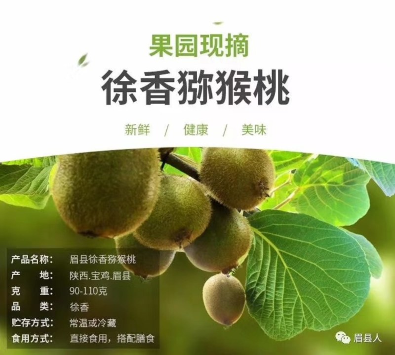眉县徐香猕猴桃，中国猕猴桃之乡，眉县猕猴桃，酸甜刚刚好