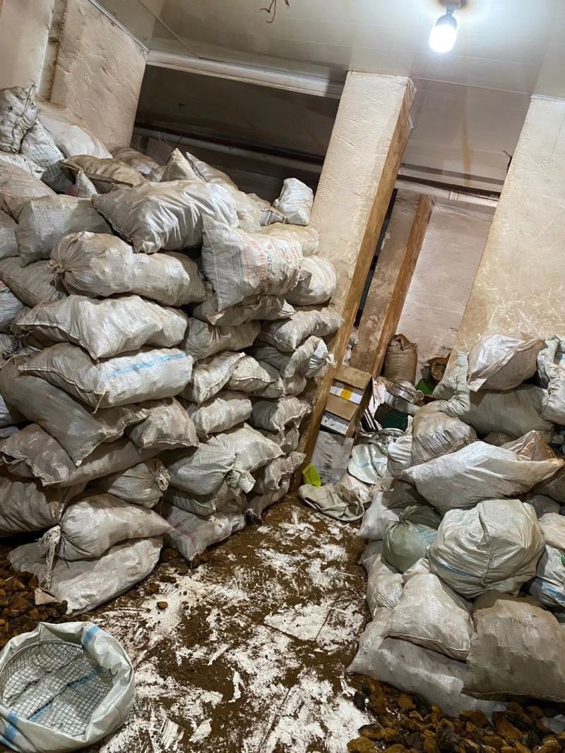 桦树茸一袋500克常年现货供应批发一手货源