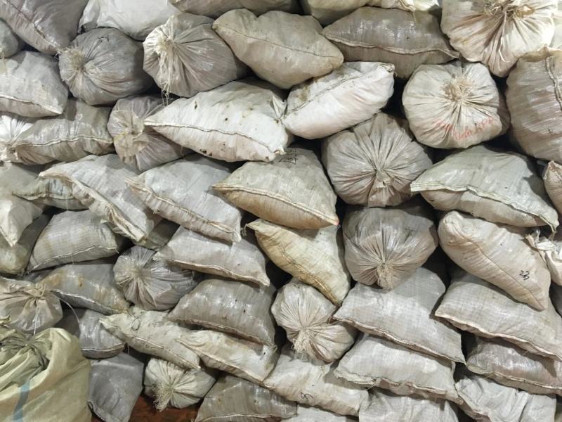 桦树茸一袋500克常年现货供应批发一手货源