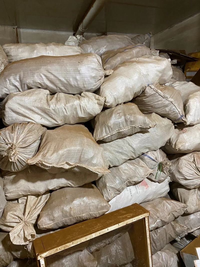 桦树茸一袋500克常年现货供应批发一手货源