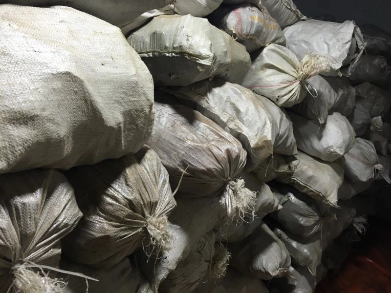 桦树茸一袋500克常年现货供应批发一手货源