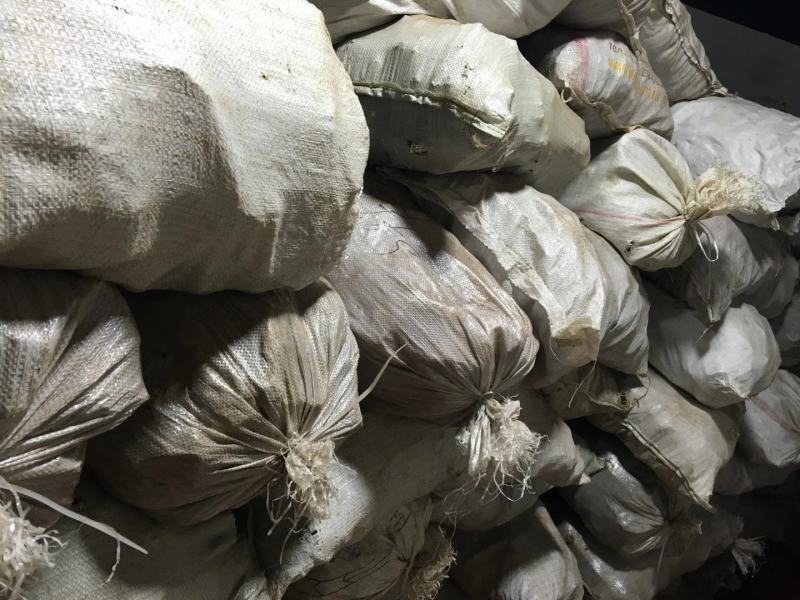 桦树茸一袋500克常年现货供应批发一手货源