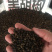 白胡椒黑胡椒实体购销餐饮调料煎炒汤必须品(各規