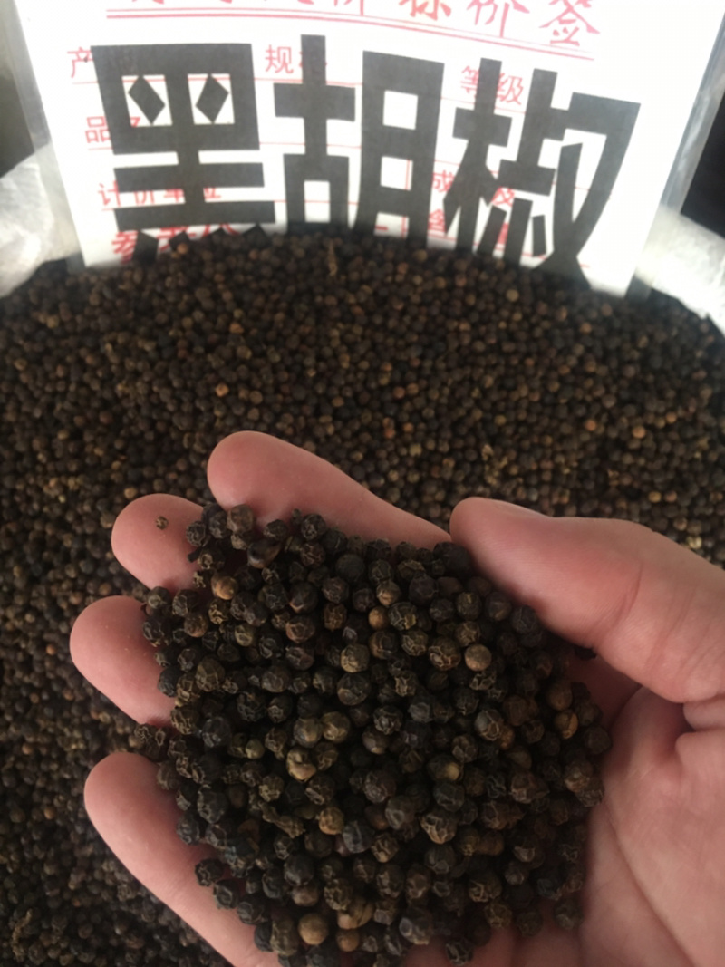 白胡椒黑胡椒实体购销餐饮调料煎炒汤必须品(各規