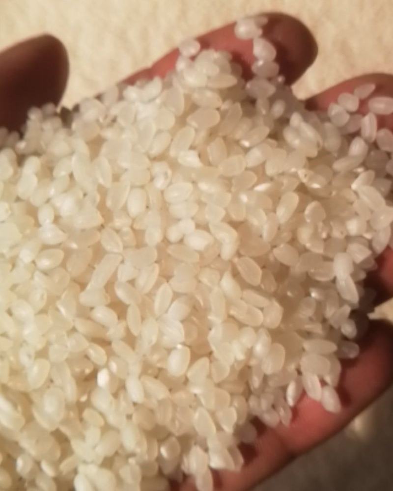 40斤农家自产自销现碾大米南梗9108江浙沪皖