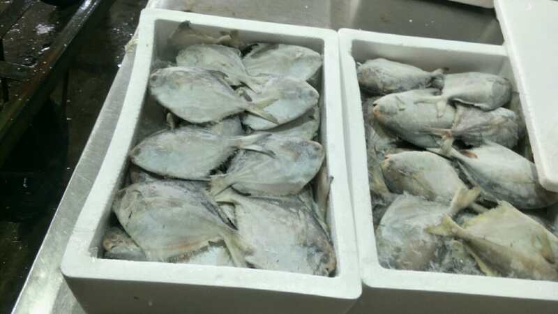 可送上海东海小白鲳鱼，价格优惠，品质保证，大小有
