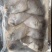可送上海东海小白鲳鱼，价格优惠，品质保证，大小有