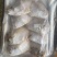 可送上海东海小白鲳鱼，价格优惠，品质保证，大小有