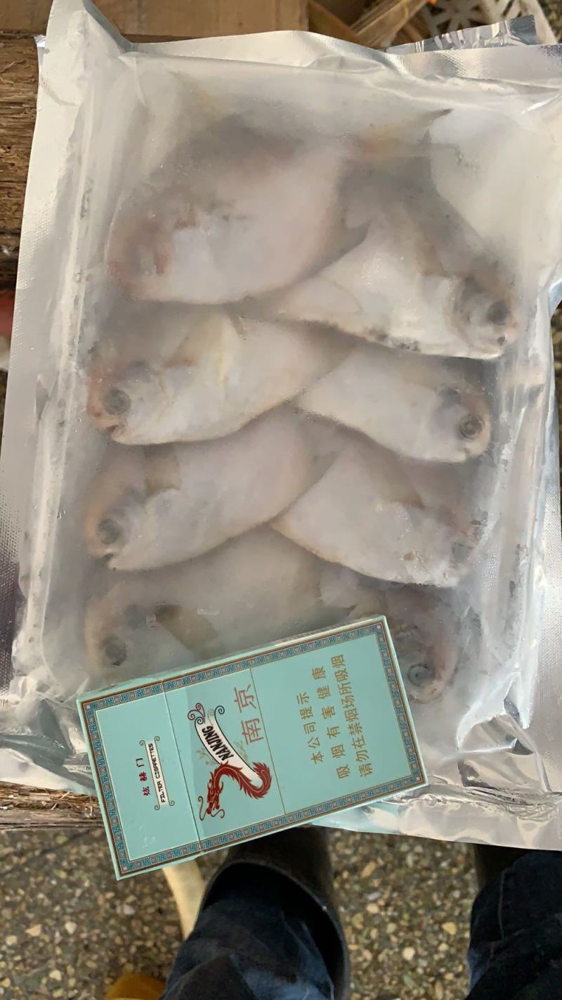 东海鲳鱼货色很好，欢迎新老客户前来咨询订购