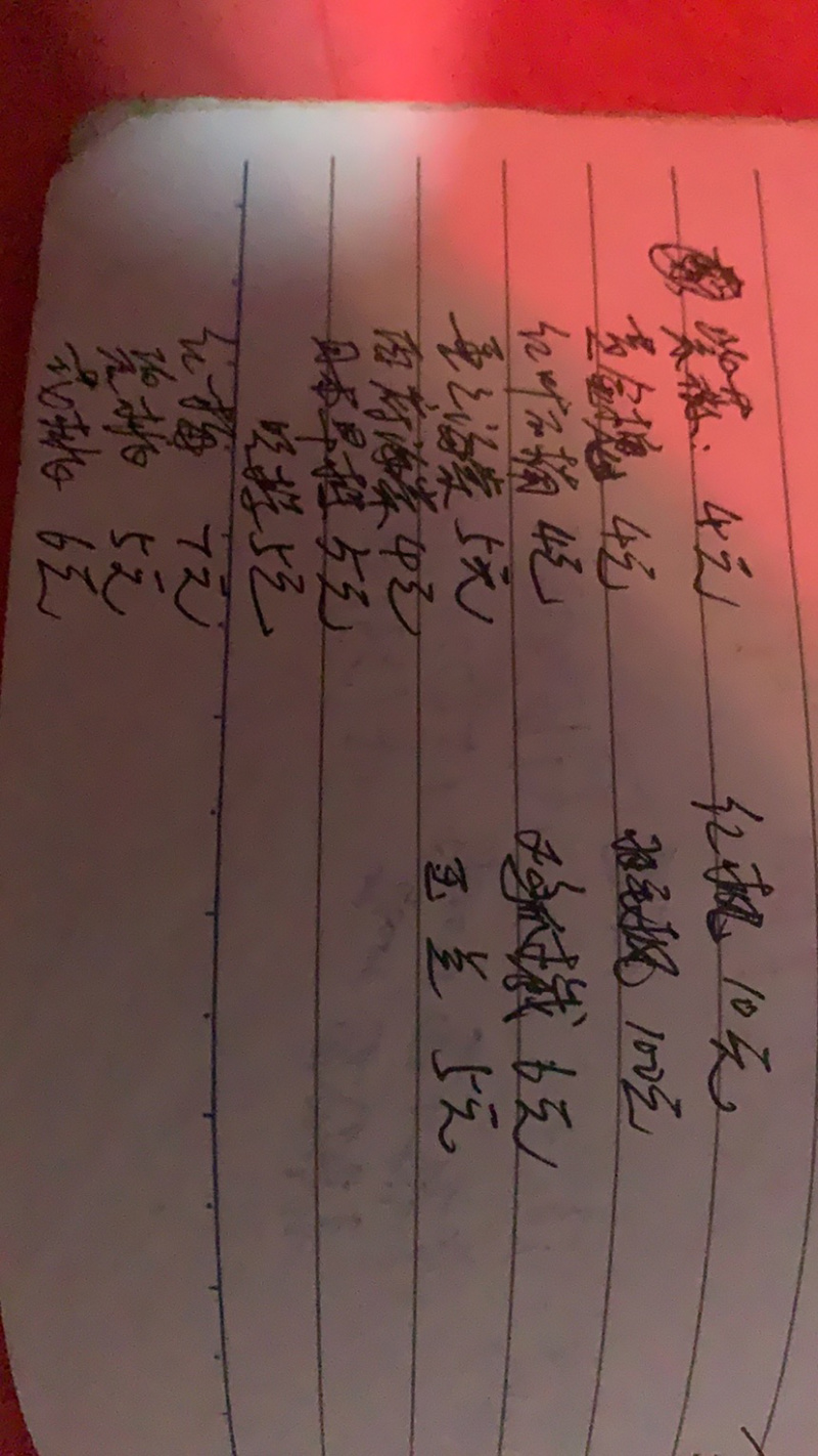 香榧小苗香榧小苗香榧小苗香榧小苗精品香榧小苗