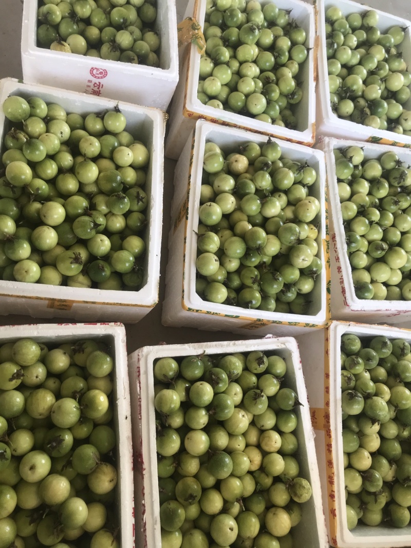 黄金百香果