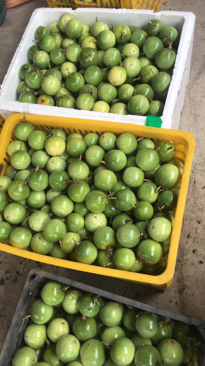 黄金百香果