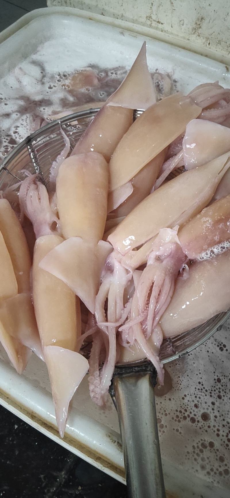 朝鲜大OK鱿鱼干78两货
