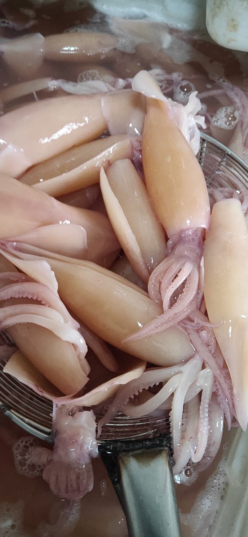 朝鲜大OK鱿鱼干78两货