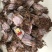 朝鲜大OK鱿鱼干78两货