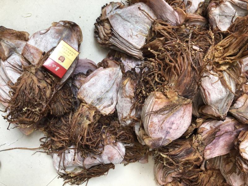 朝鲜大OK鱿鱼干78两货