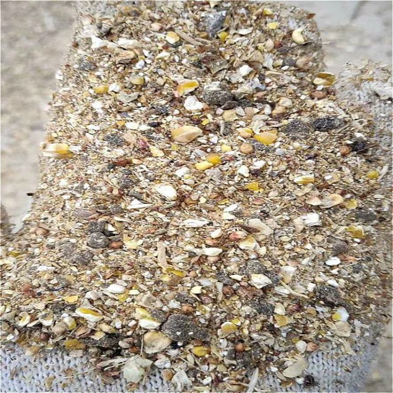 厂家直销优质货源鹅中期料枣粉碎玉米加工精致