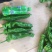 河南301辣椒个大顺直全部新鲜采摘可视频看货质优价廉