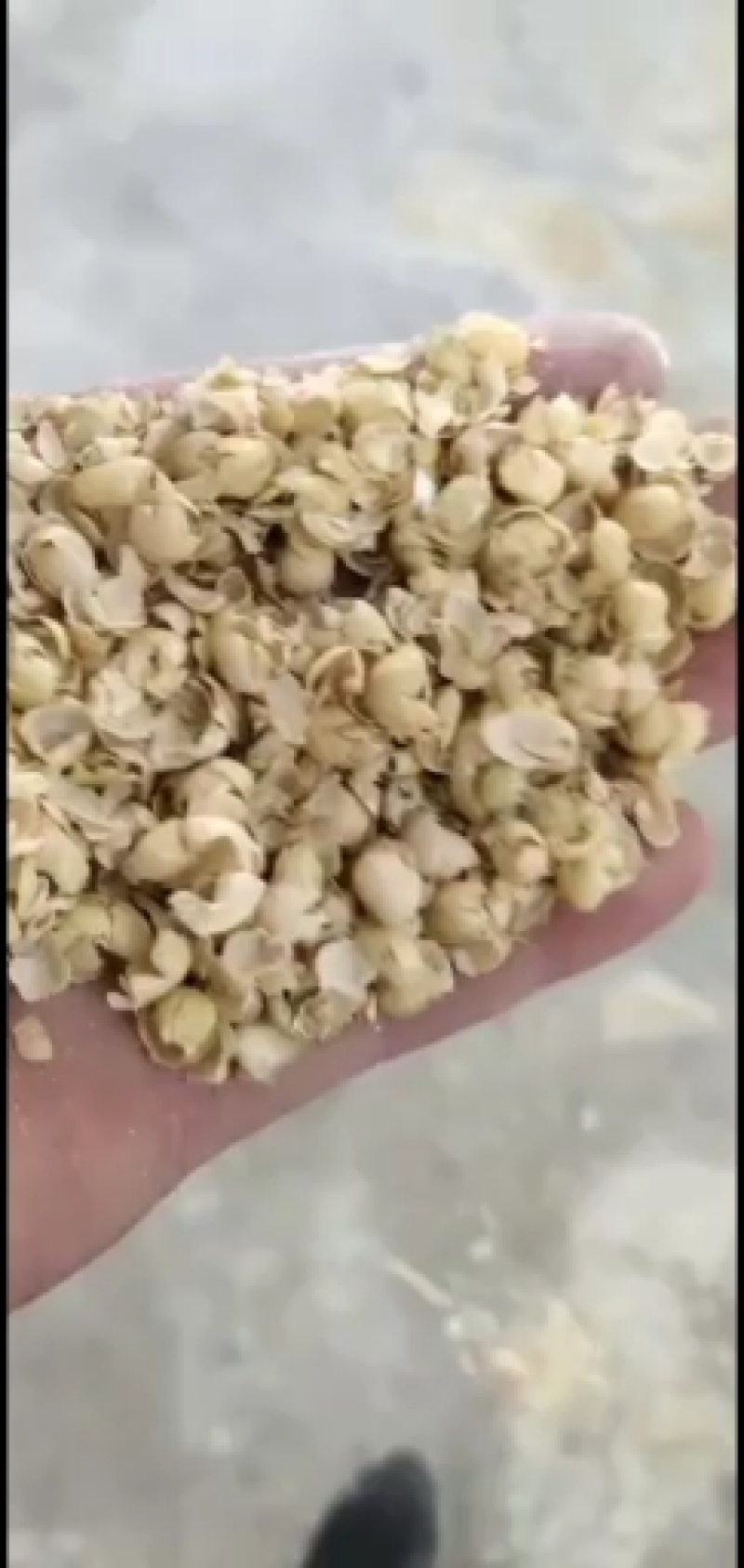 (特价优惠)黄豆皮，豆皮诚信经营顾客至上，质优价廉！