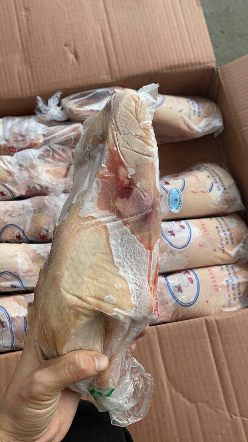 二级B白条鸭沂南樱桃谷瘦肉行，各个规格有货