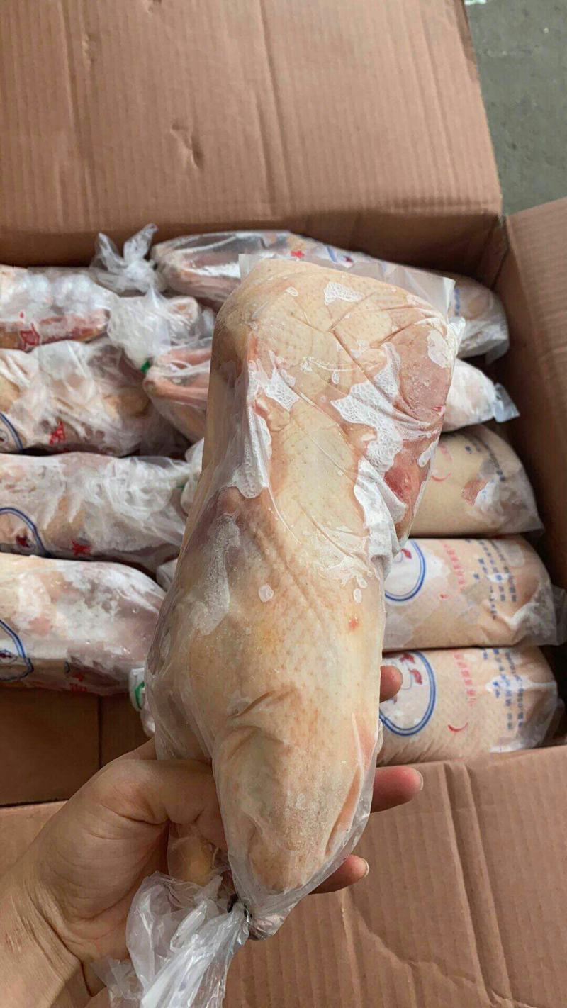 二级B白条鸭沂南樱桃谷瘦肉行，各个规格有货