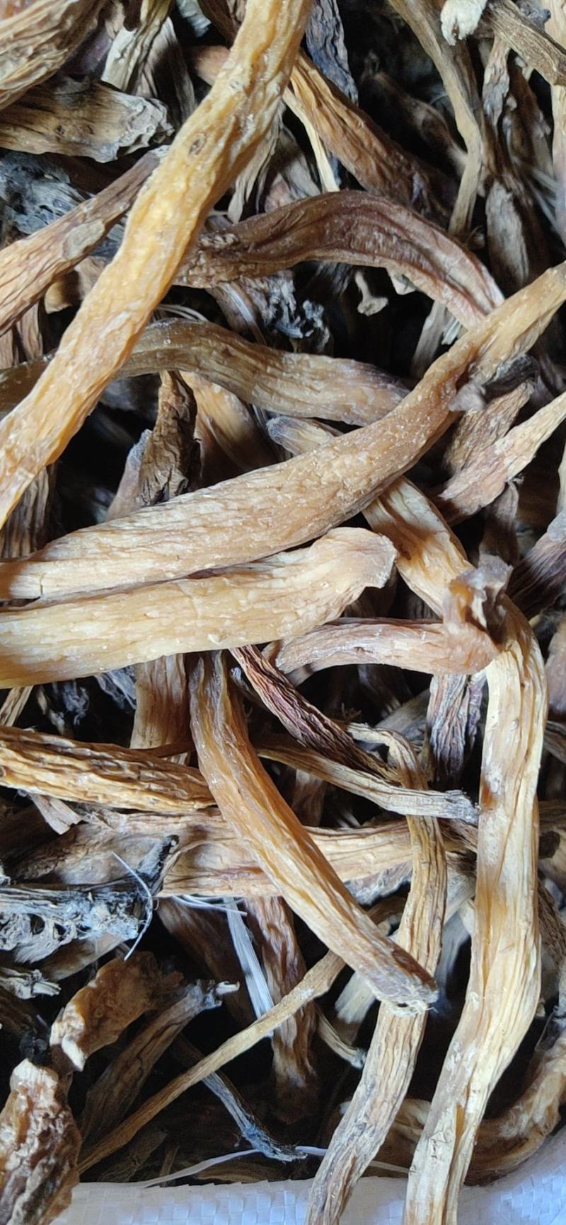 百部种苗-云南红花百部-大叶百部-百部水煮干条