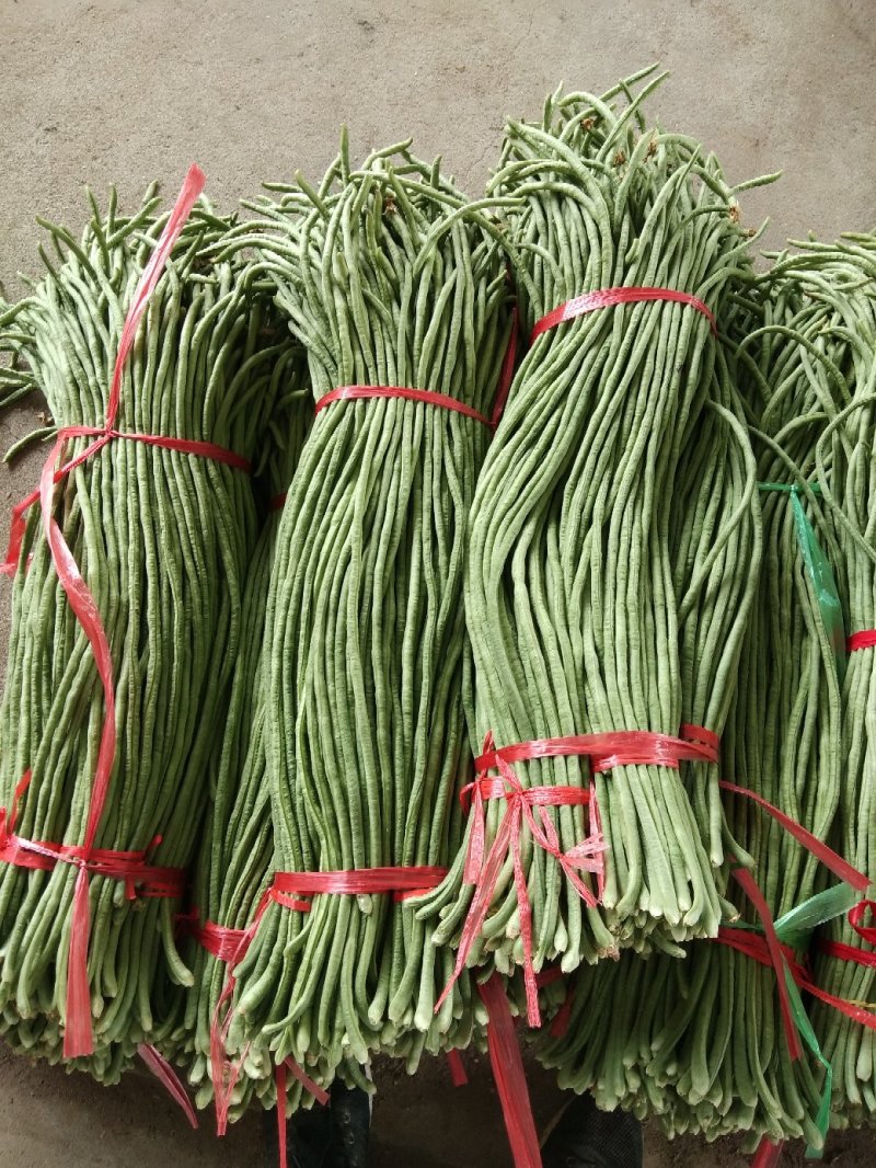 长豆角如有需要的请于我联系质量好
