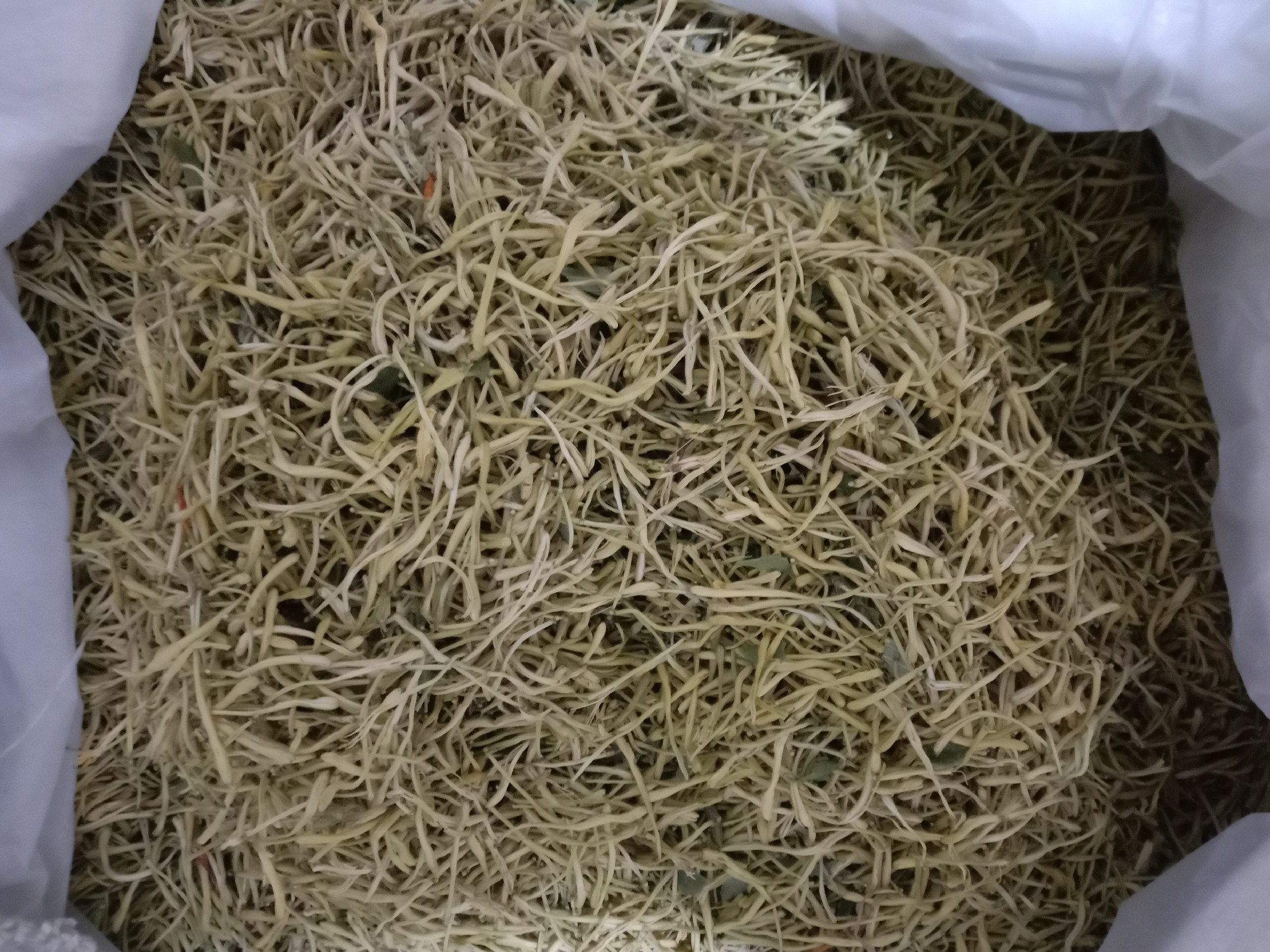 密封保存白芷的容器