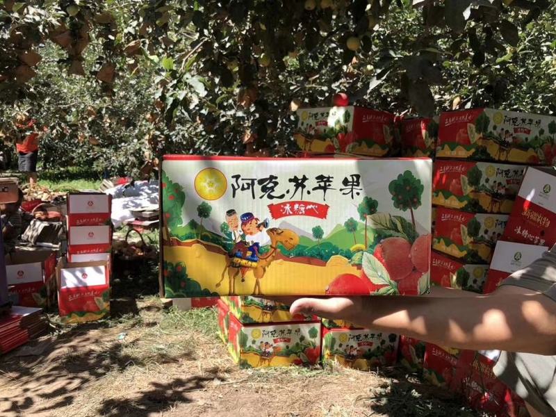【包邮包赔】新疆特产阿克苏冰糖苹果当季新鲜5⃣斤