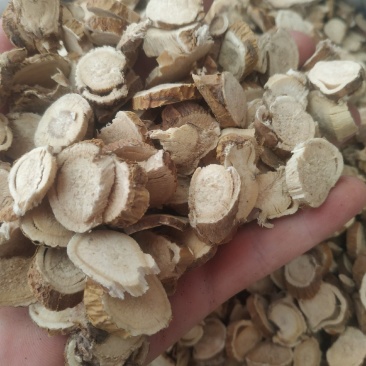 苦参～新货～包含量～量大优惠～小片便宜14元