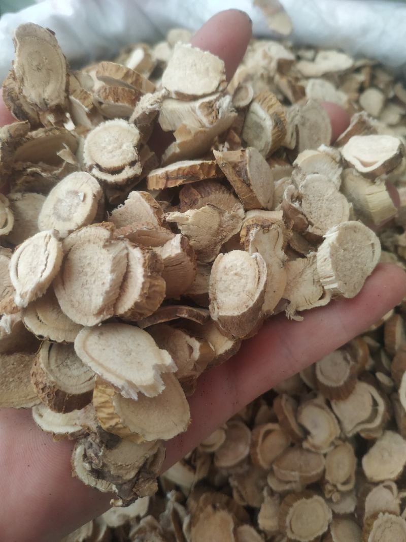 苦参～新货～包含量～量大优惠～小片便宜14元