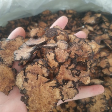 川芎～新货～~无硫～川芎片～1公斤起售～